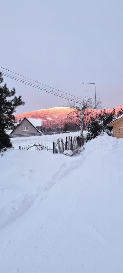 U Jedrusia Apartment Zubrzyca Gorna ภายนอก รูปภาพ